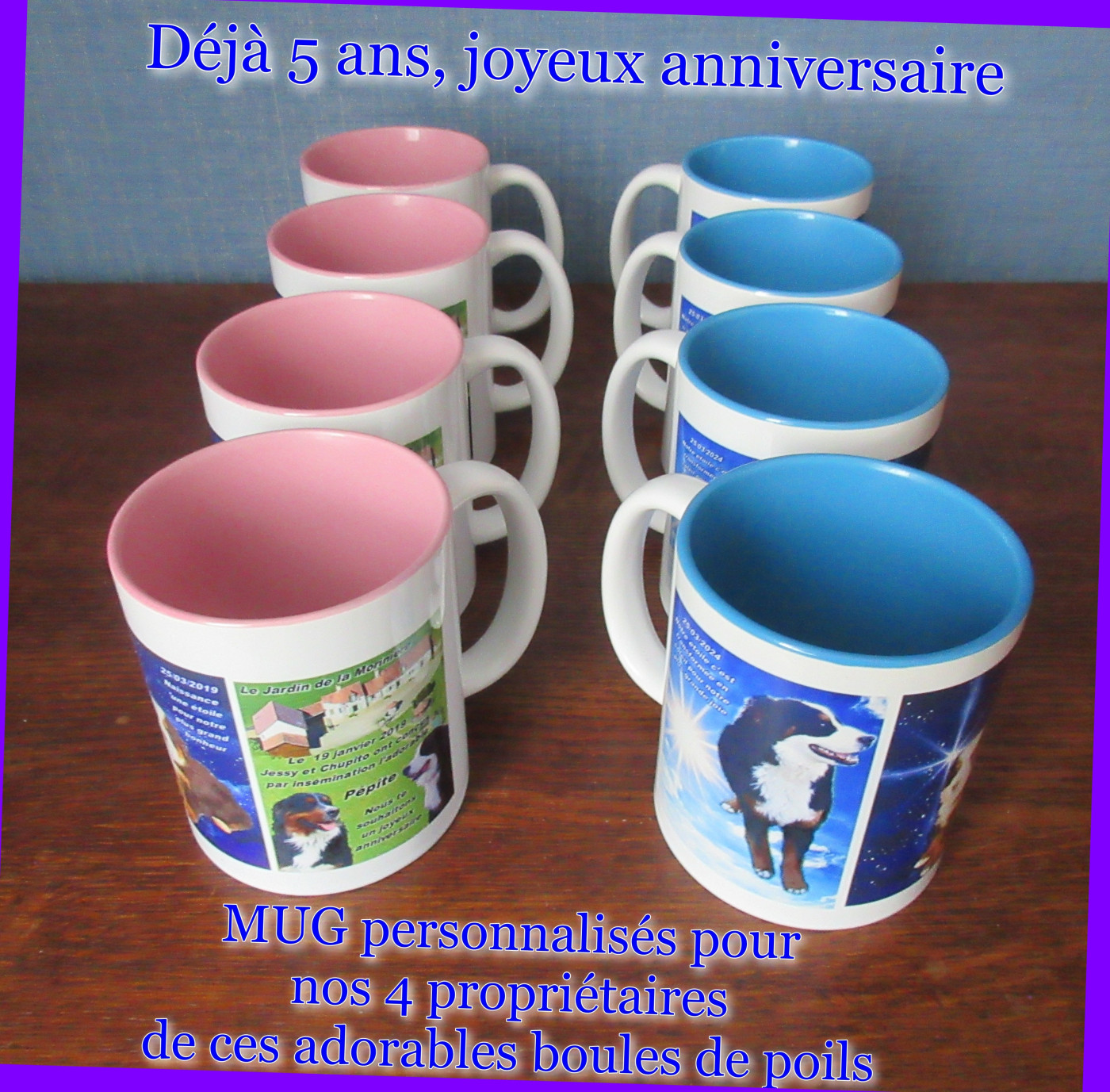 Les anniversaires de nos chiots