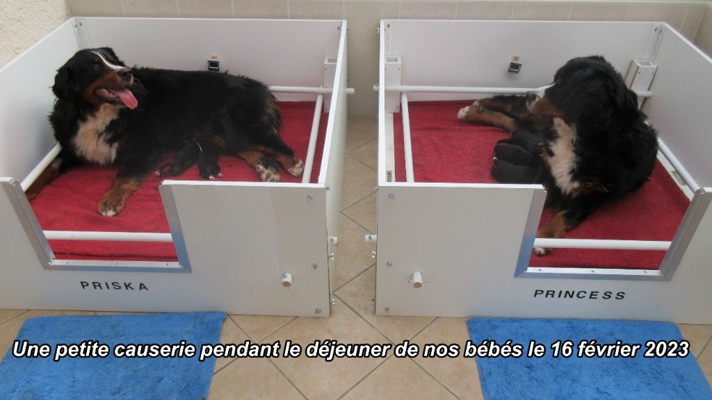 Diverses photos