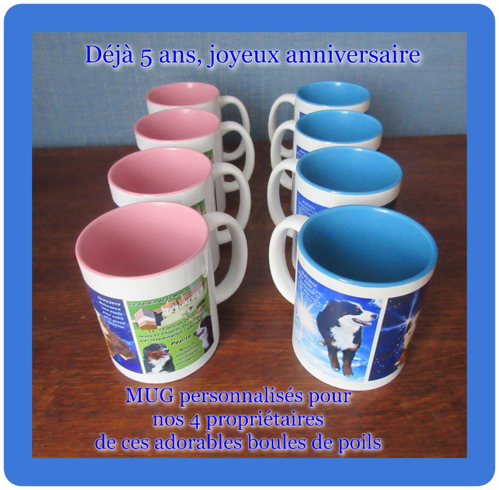 Les anniversaires de nos chiots